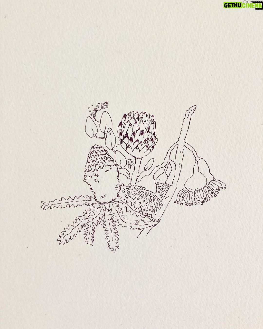 Julia Pott Instagram - For @mel_stilllife many moons ago