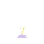 Julia Pott Instagram - The final season of Summer Camp Island comes out Monday July 31st 9am PST 12pm EST on @cartoonnetworkofficial - they will play two episodes a day for two weeks. This beautiful promo was made by @baby___mango one of the most brilliant storyboarders and people you could ever hope to know. I cannot wait to share this gorgeous season with all of you, all the artists on summer camp worked their butts off!!!