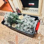 Julian Lennon Instagram – A bittersweet weekend, taking down the Christmas tree & lights, for quite possibly, the last time ever, in this old 18th Century Summer House… I’ve had many happy years here, many sad ones too… 
But after 20+ years, it’s time for a change. Time for a new adventure, a new project and something that will inspire me to be even more creative than I’ve been over the last 8 years, since Mum passed away. This house holds so many memories. It’s a special place, and it will be special for someone else too… There is a lot of love here…

Her heart beats strongly ♥️🙏🏻😘

I will miss you…. 🙏🏻 x