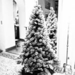 Julian Lennon Instagram – A bittersweet weekend, taking down the Christmas tree & lights, for quite possibly, the last time ever, in this old 18th Century Summer House… I’ve had many happy years here, many sad ones too… 
But after 20+ years, it’s time for a change. Time for a new adventure, a new project and something that will inspire me to be even more creative than I’ve been over the last 8 years, since Mum passed away. This house holds so many memories. It’s a special place, and it will be special for someone else too… There is a lot of love here…

Her heart beats strongly ♥️🙏🏻😘

I will miss you…. 🙏🏻 x
