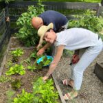 Julianna Margulies Instagram - I’m in the garden with @bbombwebb, picking lettuce and herbs for our reunion dinner. Menu: scallops w/butter garlic sauce, green goddess dressing for salad and fresh corn. Photo courtesy of @mr.alecholland Nothing better than old friends reuniting, eating together and playing rummy500 every chance we got. ♥️♥️♥️