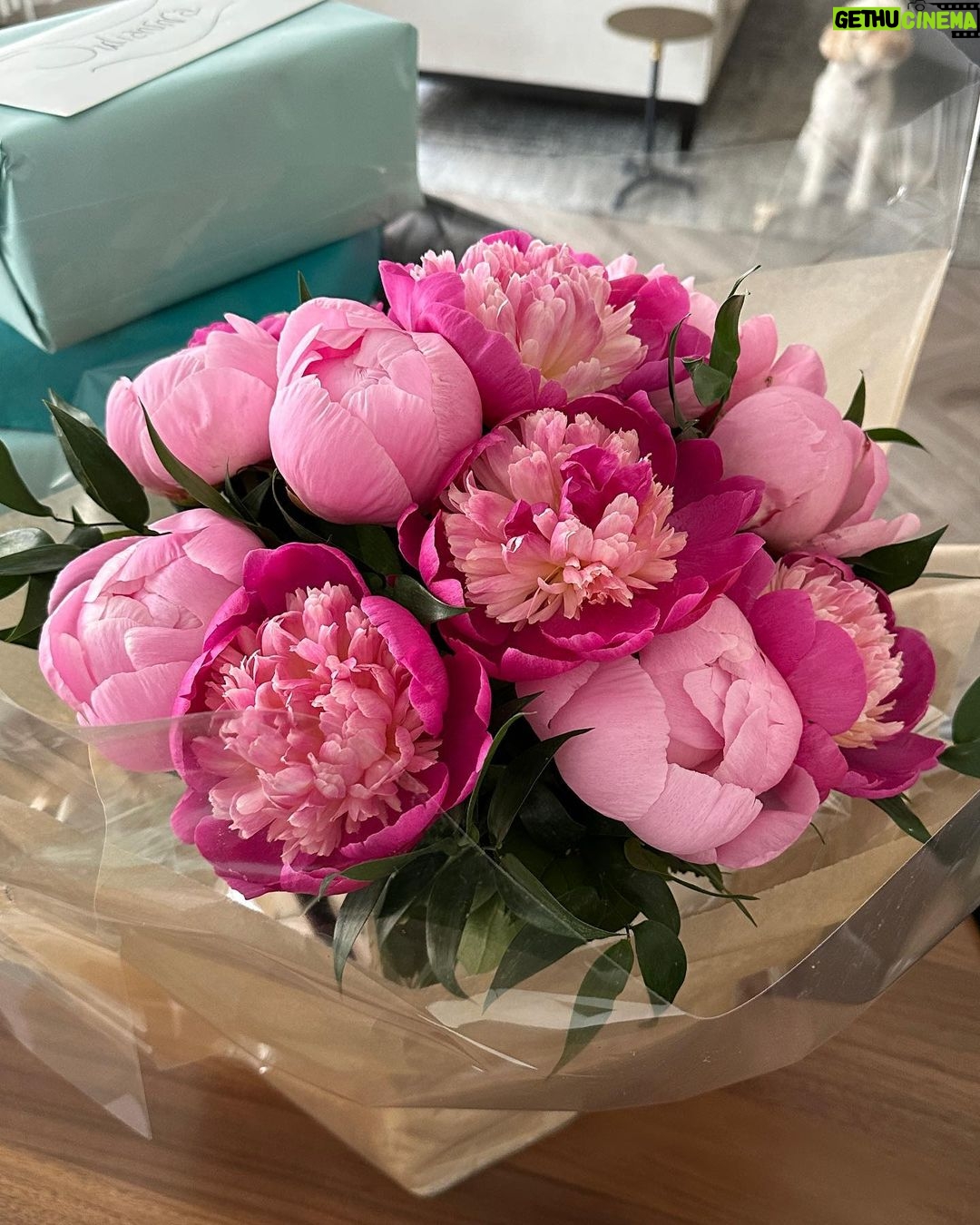 Julianna Margulies Instagram - Birthday photo dump. Thank you to everyone for all your gorgeous flowers, gifts, messages. What a week of feeling so loved I am beyond grateful and acutely aware of how lucky I am. And now a long nap. 🥰 #thankful