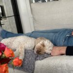 Julianna Margulies Instagram - Birthday photo dump. Thank you to everyone for all your gorgeous flowers, gifts, messages. What a week of feeling so loved I am beyond grateful and acutely aware of how lucky I am. And now a long nap. 🥰 #thankful