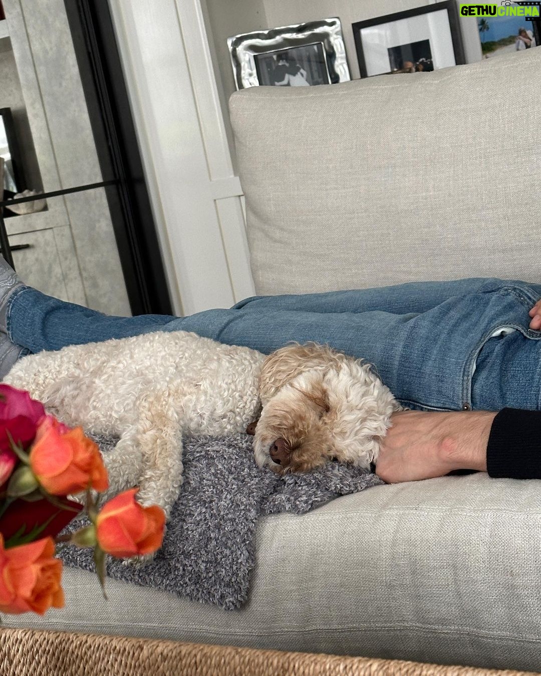 Julianna Margulies Instagram - Birthday photo dump. Thank you to everyone for all your gorgeous flowers, gifts, messages. What a week of feeling so loved I am beyond grateful and acutely aware of how lucky I am. And now a long nap. 🥰 #thankful