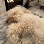 Julianna Margulies Instagram - #fridaymood