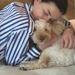 Julianna Margulies Instagram - #nationaldogday Rocket the Whoodle! Pure love.