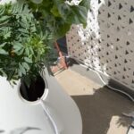 Julie Ann Emery Instagram - #AdventuresOfHerbie week 5!! #hydroponicgarden @lettucegrow