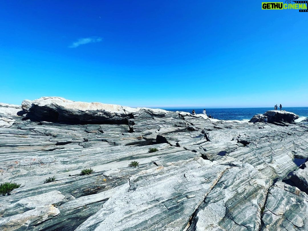 Julie Ann Emery Instagram - Oh Maine, you saucy show off. @kevinearleyoffical