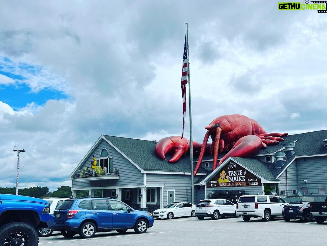 Julie Ann Emery Instagram - Oh Maine, you saucy show off. @kevinearleyoffical