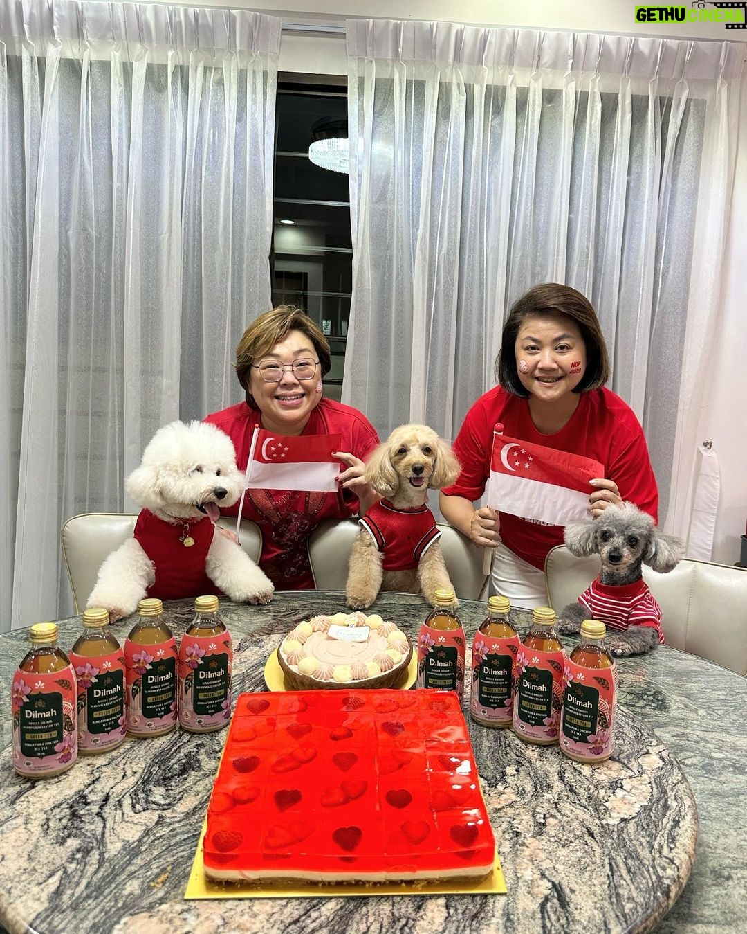 Julie Tan Instagram - Happy 58th birthday Singapore πΈπ¬ #ndp2023
