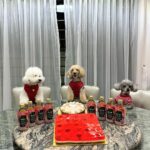 Julie Tan Instagram - Happy 58th birthday Singapore 🇸🇬 #ndp2023