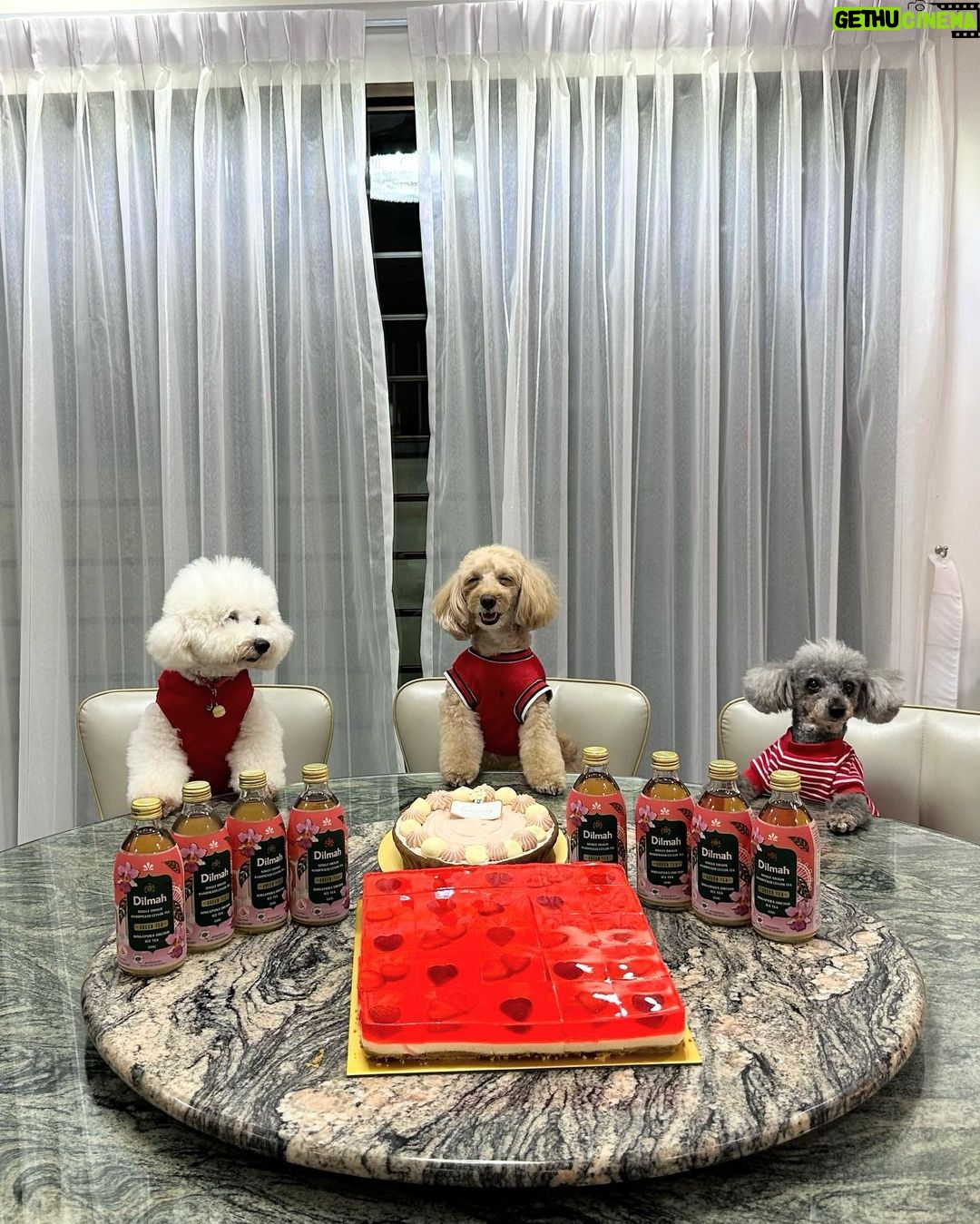 Julie Tan Instagram - Happy 58th birthday Singapore πΈπ¬ #ndp2023