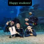 Julie Tan Instagram - Always excited to learn more about marine conservation! Thank you, @rwsentosa and @s.e.a.aquarium, for inviting us to take the AWARE Shark Conservation Specialty Course! Not only did I learn about the importance of a shark’s role in the ecosystem, we also got to do two dives! One in the Ocean Aquarium with the manta rays, and one in the shark tank with many sharks! 🦈🦈🦈 S.E.A. Aquarium
