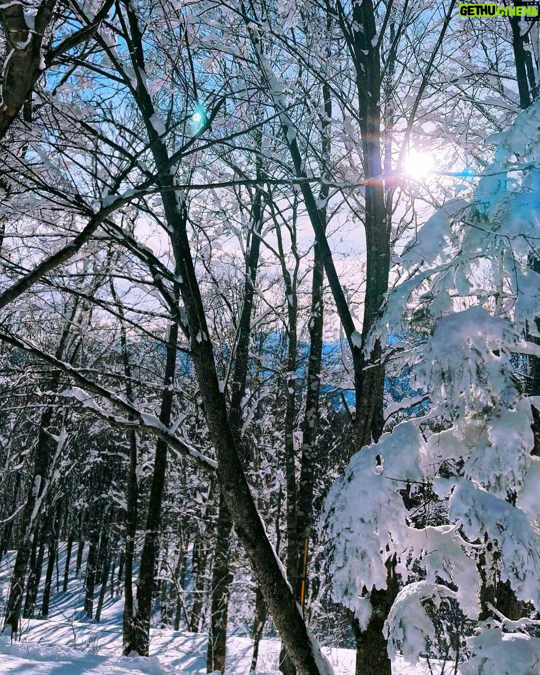 Julie Tan Instagram - Been working out and meditating in preparation for this trip 🇯🇵 Glad to be able to apply what I’ve learnt during my meditation sessions for my snowboarding - you just need to trust and go with the flow ✨ Thank you @changirecommends for keeping me connected on my trip! 白馬岩岳 Hakuba Iwatake