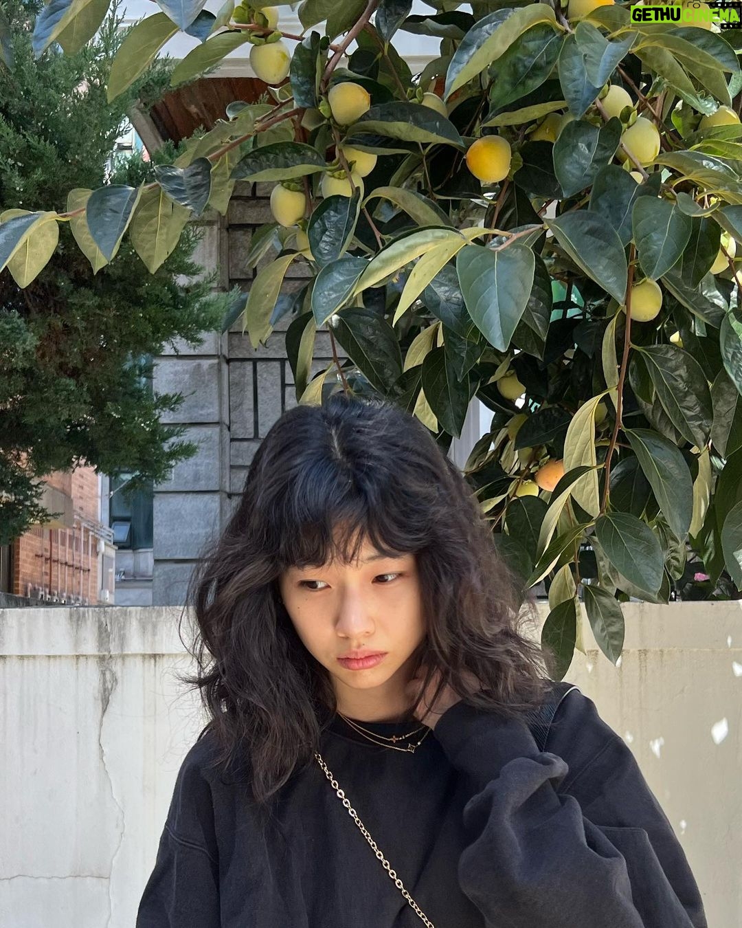 Jung Ho-yeon Instagram - Instagram Addiction Caused by Jet Lag 🫨🫨🫨