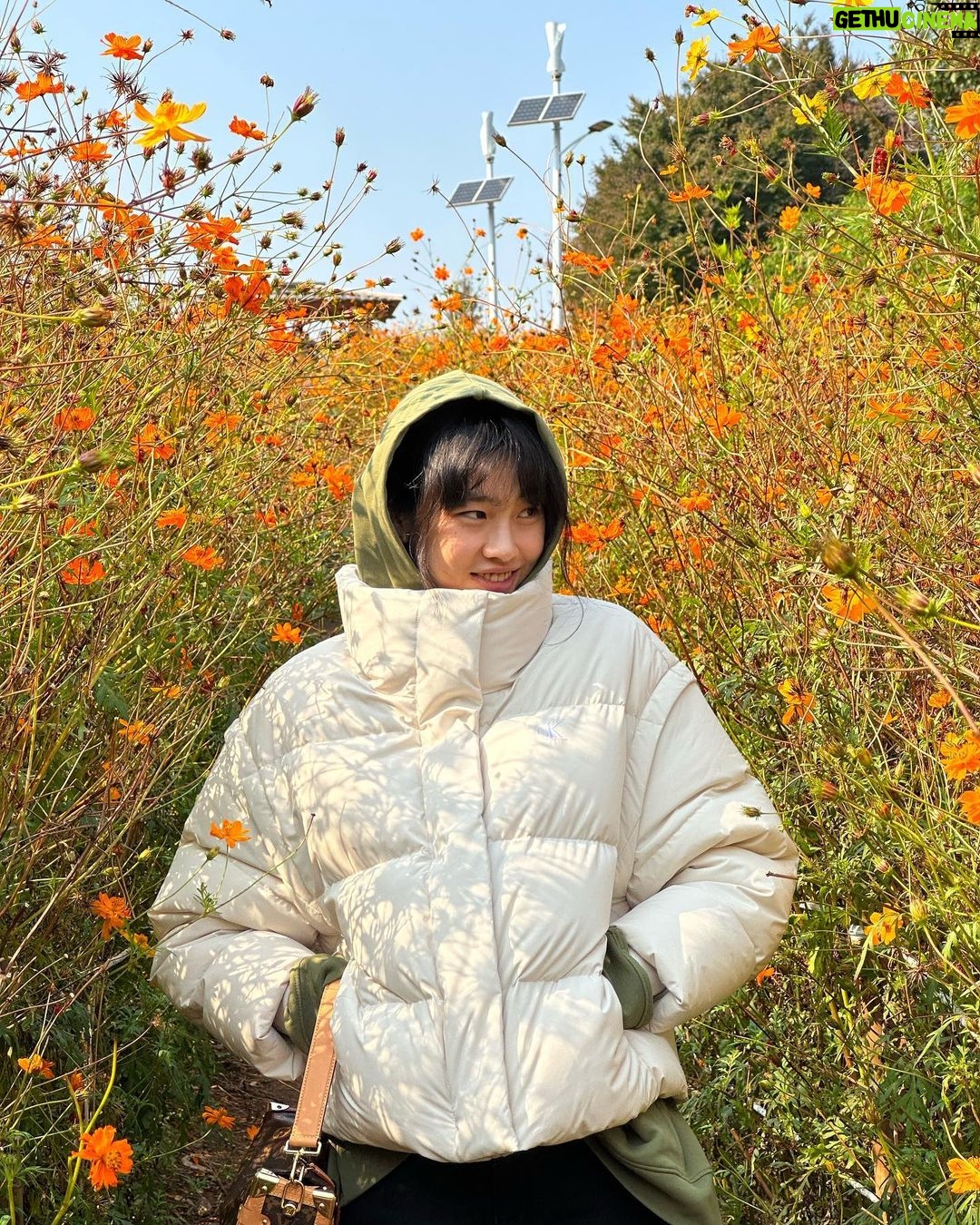Jung Ho-yeon Instagram - 👋🏼 @calvinklein #광고