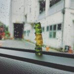 Jung Ji-so Instagram - 사과맛곰젤리오렌지맛곰젤리사과맛곰젤리