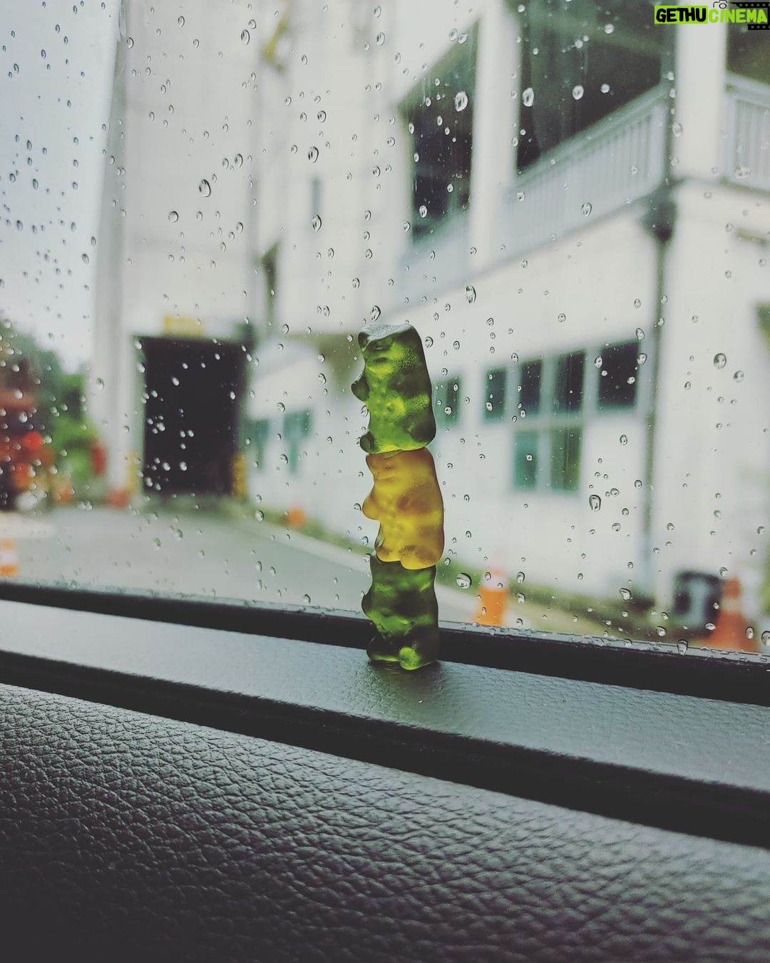Jung Ji-so - 19.7K Likes - 사과맛곰젤리오렌지맛곰젤리사과맛곰젤리