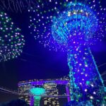 Jung Yu-ji Instagram - 🇸🇬🌃