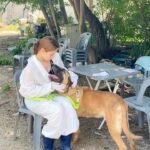 Jung Yu-ji Instagram - 뙤약볕에 시커먼스가 되어도 더위에 헤롱헤롱 거려도 행복했다🥰 함께 해준 내 천사들 넘 고맙습니다🤍 여기 아크 보호소에 있는 아이들 모두 입양해줄 가족을 찾고 있습니다! 중 대형견 정도 되는 아이들이고 착하고 애교 많고 성격 좋은 아이들도 많고 소심하고 사람을 아직도 무서워 하는 친구들도 꽤 있습니다. 그래도 대부분 조금 같이 있다 보면 마음을 열어요☺️ 관심 있으신 분들 입양문의와 봉사문의는 @ark_animalrightskorea 이곳으로 하시면 됩니다❤️ 아크 보호소 ARK