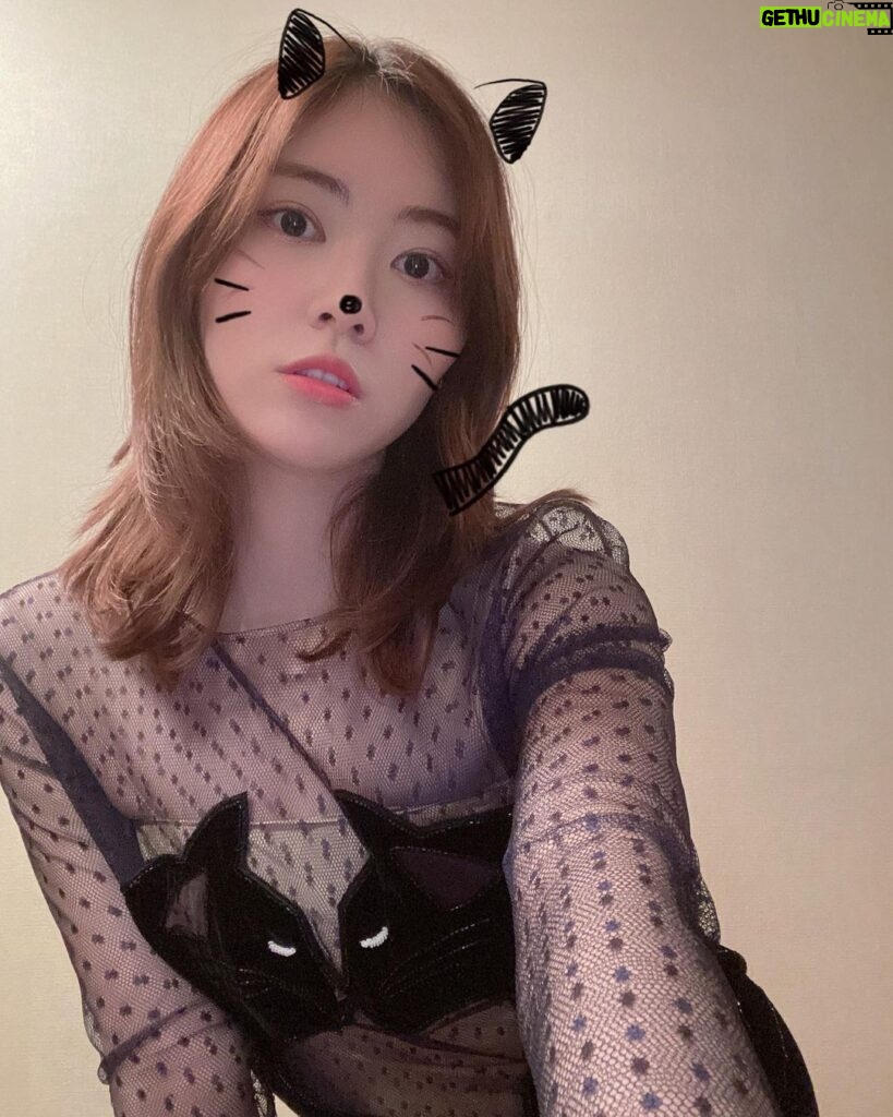 Jurina Matsui Instagram - ギリギリ間に合った😹❤️ どれが好き〜？🐾 #猫の日 #tiktok #見てね #3枚あるよ #スライドしてね #にゃんこ #猫 #ワンピース #cat #photooftheday #love #2322 #😽 #🐱 #😾