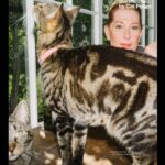 Justin Vivian Bond Instagram - Always being upstaged! Check out the warm and furry family portrait @ryanlowry took for the upcoming @catpowerofficial collab with @buffalozine!!! And come see my show “sex with strangers” at Joe’s Pub next week! Some Cats Know. MEEEEEOOOOOWWWWW! @pinkyandleather #catsofinstagram #buffalozine #glamourisresistance #queerartsaveslives #transisbeautiful #nonbinaryfemme #sexwithstrangers #mariannefaithfull #thehouseofwhimsy