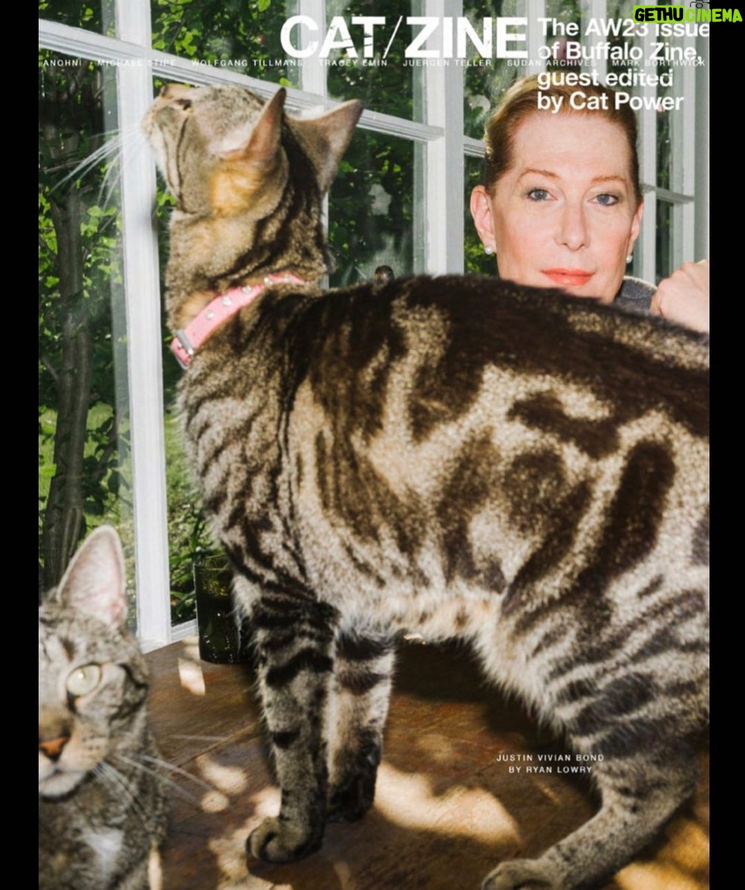 Justin Vivian Bond Instagram - Always being upstaged! Check out the warm and furry family portrait @ryanlowry took for the upcoming @catpowerofficial collab with @buffalozine!!! And come see my show “sex with strangers” at Joe’s Pub next week! Some Cats Know. MEEEEEOOOOOWWWWW! @pinkyandleather #catsofinstagram #buffalozine #glamourisresistance #queerartsaveslives #transisbeautiful #nonbinaryfemme #sexwithstrangers #mariannefaithfull #thehouseofwhimsy