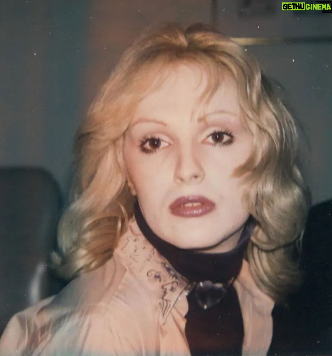 Justin Vivian Bond Instagram - Last night at Carnegie Hall I had the delightful privilege of honoring Candy Darling on the eve of Trans Day of Remembrance by singing The Velvet Underground song “Candy Says.” The evening was in celebration of Music and Revolution: Greenwich Village in the 60s by @richardbarone. If you had told me I would one day sing in Zankel Hall on the same stage with @josefeliciano, @paxton_tom, members of The Feelies, The Bongos, Carolyn Hester, @ericandersenofficial, and @davidjohansen.official I would have thought you were crazy!!! These people changed the world! There were beautiful performances by @jennimuldaur and her dad Geoff, Marshall Crenshaw, Vernon Reid, Lennie Kay, Willie Nile, Mary Lee Kortes, @terre_roche, David Amram, and a slew of others. The BAND were a joy to sing with. I was very happy to be performing with my friend @joemcginty7 again, what a treasure. I felt out of place and intimidated when I first arrived but they were all so warm and welcoming I soon relaxed and had a wonderful time while learning a lot and being deeply moved. Evidently folk singers live a long time. If you want to stick around awhile get out those guitars, kids! I can’t wait for the release of the new Candy Darling movie starring @harinef. Also, get ready for a fantastic biography by C. Carr coming on in 2024. #transdayofremembrance #musicandrevolution #musicandrevolutionbook #candydarling Curtain Call Photo by @reginaldmarsh Zankel Hall, Carnegie Hall