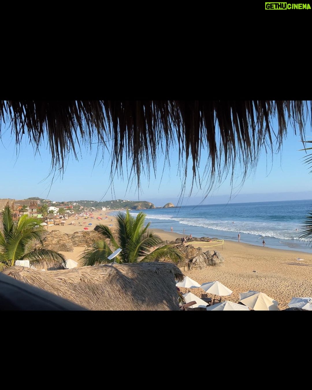 Justin Vivian Bond Instagram - Saturday! I may never leave.