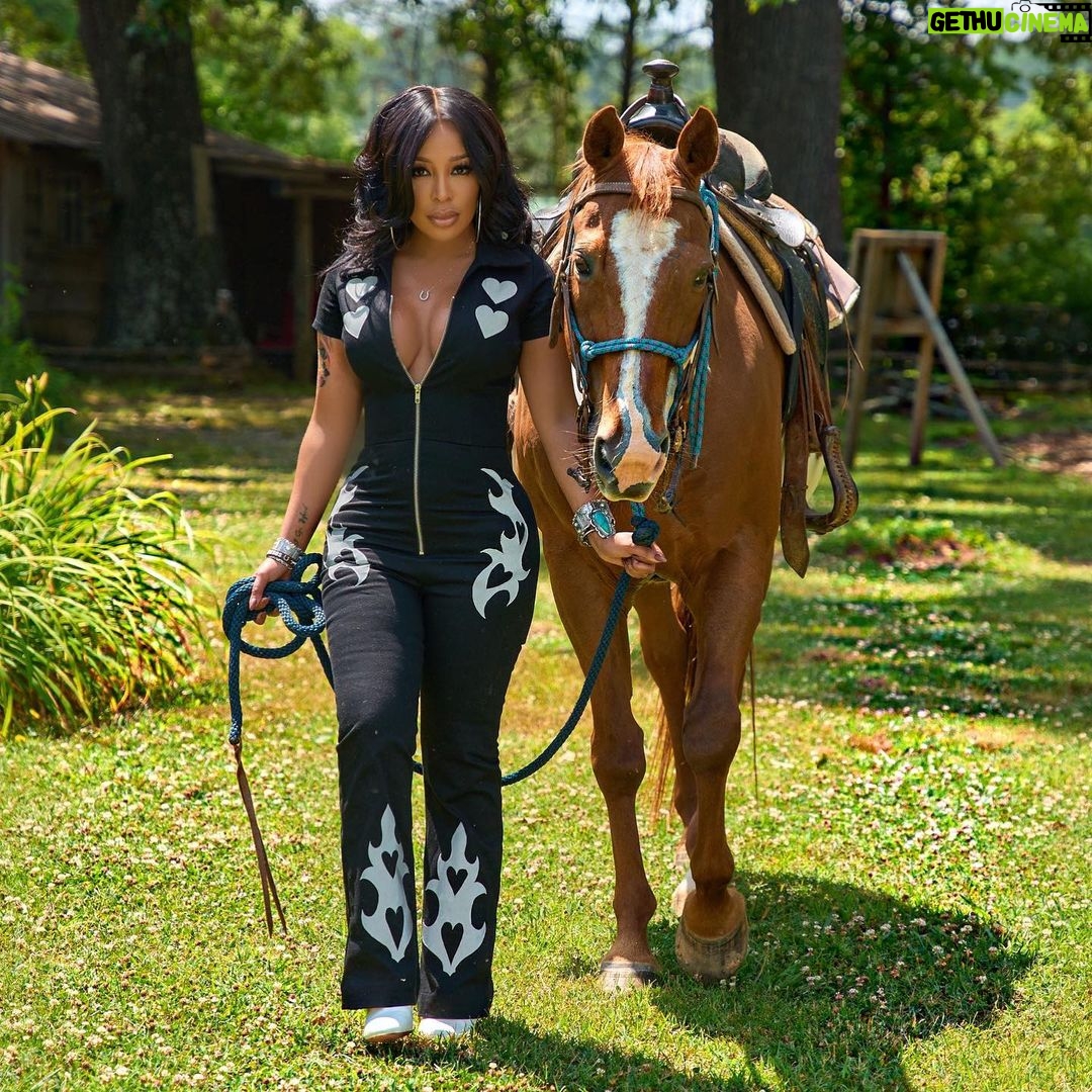 K. Michelle Instagram - I’m definitely not your smooth ride baby. Mrs. Good Whiskey Bad decisions😩🤷🏽♀️ @kimberlyispuddin