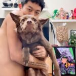 Kai-Yi Chang Instagram – 媽祖保佑。

今天很刺激試鏡終於結束…
趕回家換衣服準備回老家拜拜！
明天阿公忌日，希望阿公在天上也能保佑。
連UOMO寶寶都來祝福～

Knitted top @zara 
Pants @dazedtw 
Shoes @balenciaga 
Accessories @recoverydesign 
Bag @olend_backpacks 

#lifestyle #lifestyleblogger #actor #actorslife #knitted #knitting #knitwear #balenciaga #balenciaga3xl 台北大巨蛋