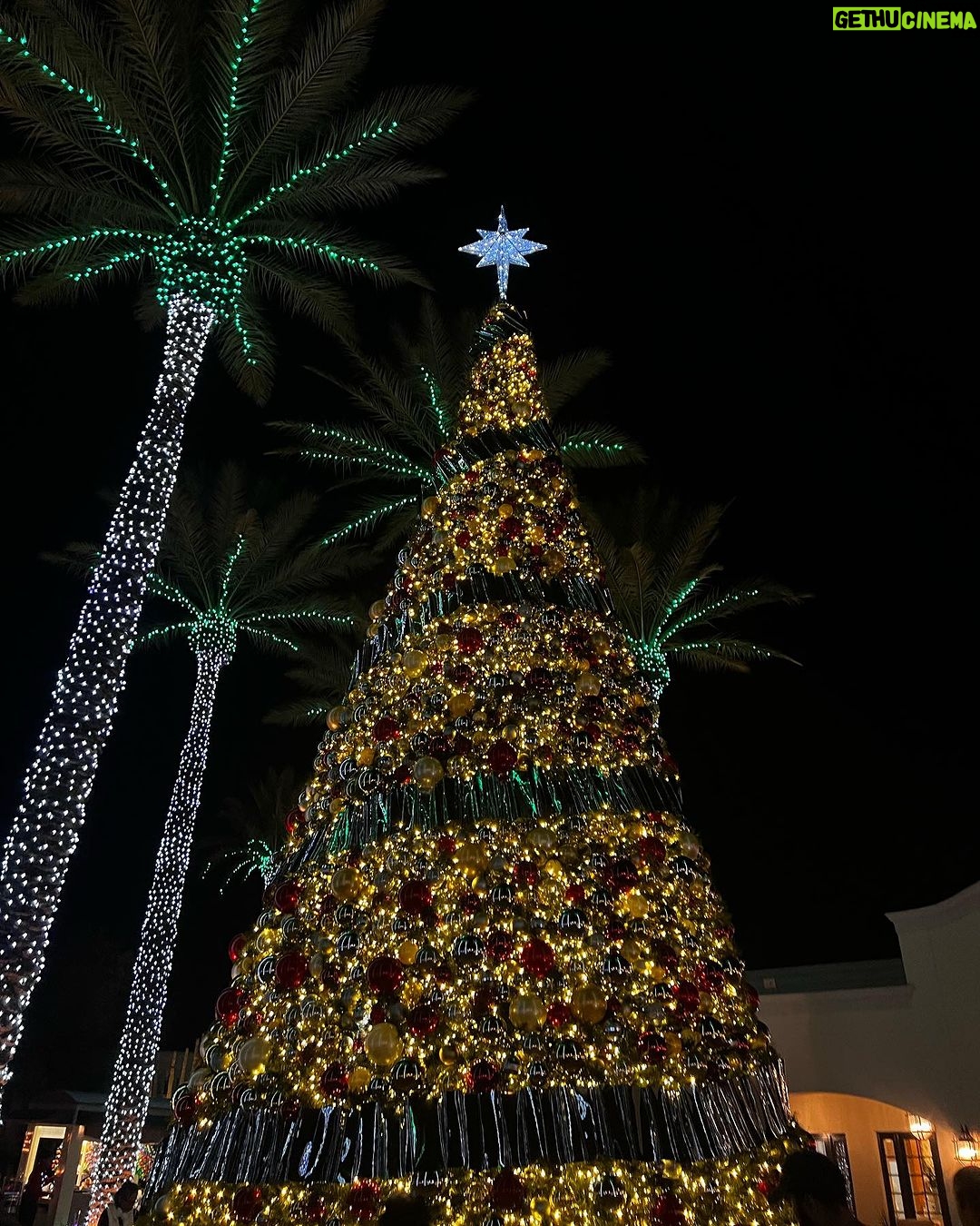 Kalani Hilliker Instagram - Tis the season❄️ Christmas at the Princess