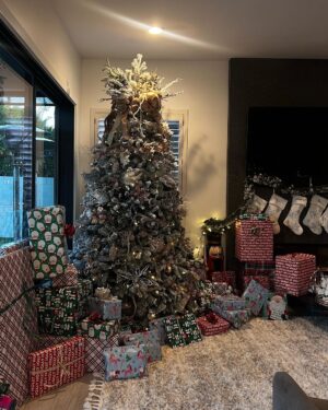 Kalani Hilliker Instagram - Merry Christmas from my family to yours 🎄🤍