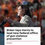 Kamala Harris Instagram - The new Office of Gun Violence Prevention will play a critical role in implementing @JoeBiden’s and my efforts to reduce gun violence while encouraging elected leaders and advocates to come together to save lives.