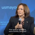 Kamala Harris Instagram - It is a false choice to suggest that you either favor the Second Amendment OR want reasonable gun safety laws—we can do both.