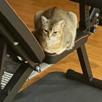 Kang Daniel Instagram - ㅇㅋ 오늘 복근은 스킵