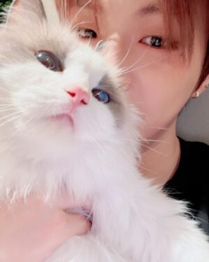 Kang Daniel Instagram - 퇴근후의 행복😼