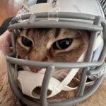Kang Daniel Instagram - 선물! (나를위한)😺