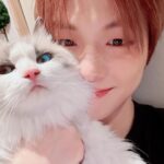Kang Daniel Instagram - 퇴근후의 행복😼
