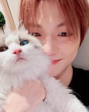 Kang Daniel Instagram - 퇴근후의 행복😼