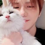 Kang Daniel Instagram - 퇴근후의 행복😼
