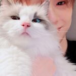 Kang Daniel Instagram - 퇴근후의 행복😼