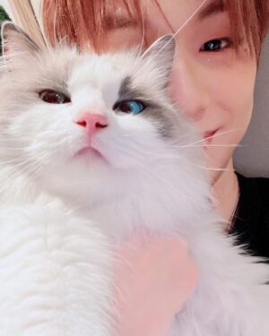Kang Daniel Instagram - 퇴근후의 행복😼