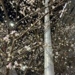 Kang Daniel Instagram -