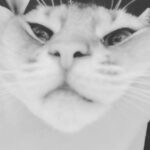 Kang Daniel Instagram - 🙀
