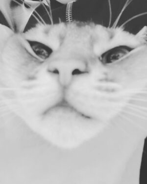 Kang Daniel Instagram - 🙀