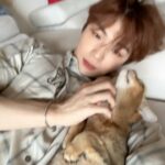 Kang Daniel Instagram - Im just a Grooming machine for cats..👾🤖