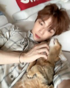 Kang Daniel Instagram - Im just a Grooming machine for cats..👾🤖
