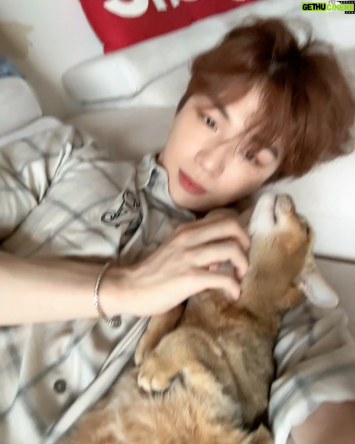 Kang Daniel Instagram - Im just a Grooming machine for cats..👾🤖