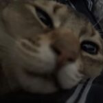 Kang Daniel Instagram -